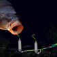 🎣⚡ Kaksoiskoukun pohjasiima! Päivitetty versio parantaa koukkausastetta 50 % – hyvästit takertumiselle! 🎣.