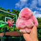 🏆Rajoitetun ajan erikoistarjous 50% alennus🐰Käsintehty pehmeä pupu PomPom-koru