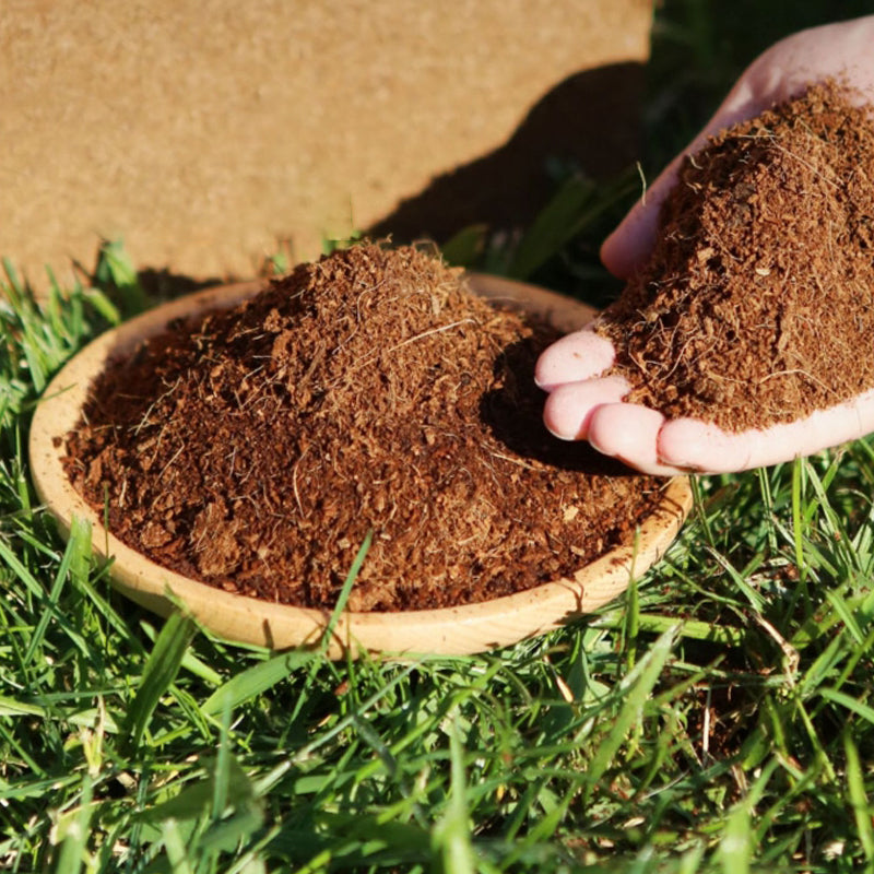 Den Beste Gaven til Hagearbeid - Økologisk Kokosfiber til Planter