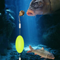 🎣⚡ Käänteinen pohja-taklaus kahdella koukulla! Paranneltu versio kasvattaa tartutusprosenttia 50 % – sano hyvästit pohjaan tarttumiselle! 🎣