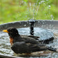🥳2026 KUUMA ALE🥳💞50% ALE!✨ 💝Kompakti aurinkokäyttöinen lintujen suihkulähdepumppu – Pidä puutarhasi elossa! 🐦️