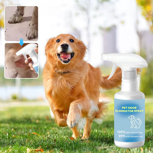 🔥Hot Ale🔥Pet Deodorizing Spray (50% alennus)