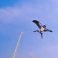 🥳2026 KUUMA ALE🥳💞YLI 50 000 MYYTY!💥👨‍👦✨ Täydellinen ulkoilukaveri perheen hauskanpitoon | Ulkokalastusleijasetti luo keväisiä muistoja -50 %🎣🪁