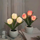 🔥LED-tulppaani-yövalo-kukkainen pöytävalaisin🌷✨
