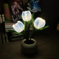 🔥LED-tulppaani-yövalo-kukkainen pöytävalaisin🌷✨