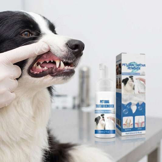 🐾 OSTA 2, SAA 1 ILMAISEKSI! ✨Lemmikkien suunhoitoon tarkoitettu vaahtoava hammaskivenpoistaja.