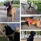 ✨Kestävät taktiset koiranvaljaat kahvalla🐕